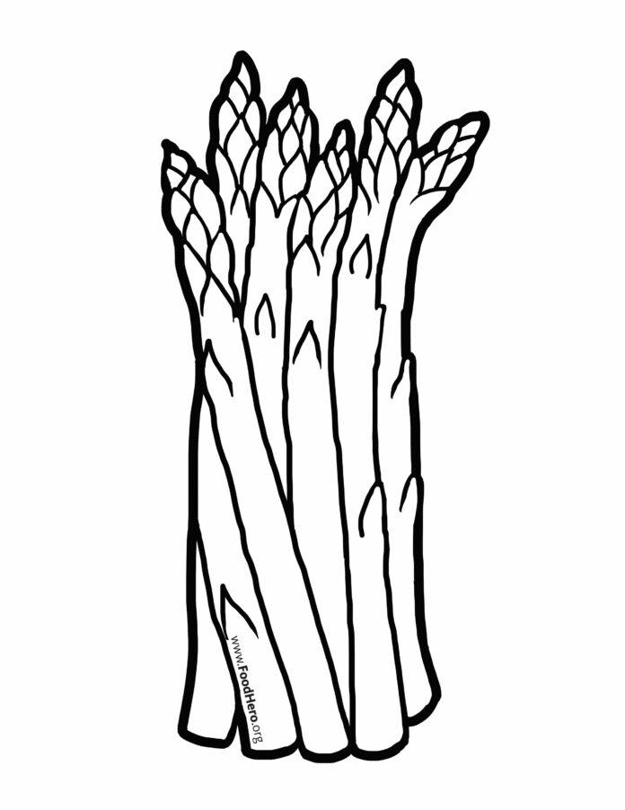 szparagi obrazek do drukowania