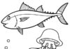tuńczyk i ryby morskie kolorowanka do drukowania