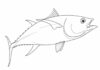 tuńczyk ryba kolorowanka do drukowania