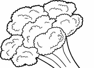 warzywo brokuł obrazek do drukowania