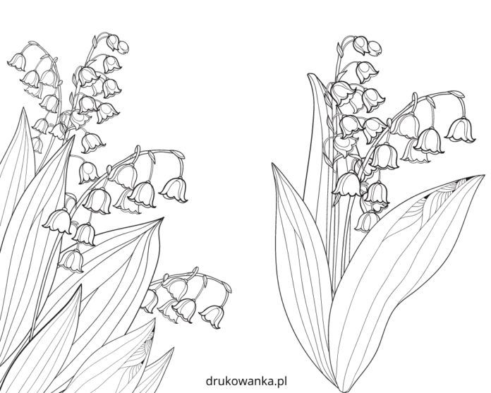 wiosenne konwalie kolorowanka do drukowania