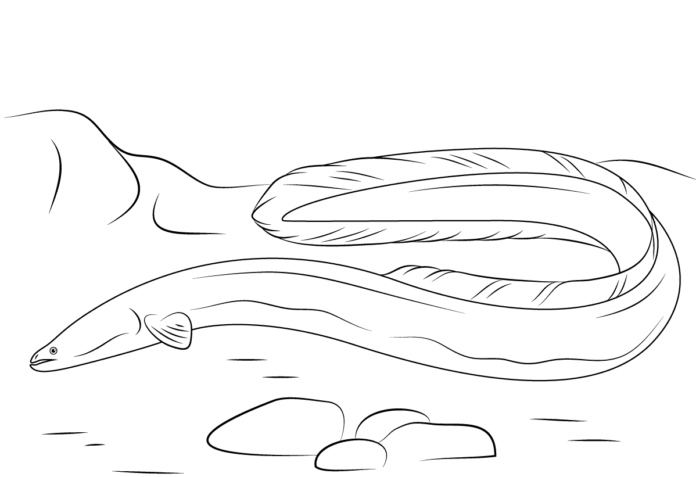 węgorz na dnie jeziora kolorowanka do drukowania