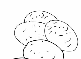 ziemniaki z ogródka obrazek do drukowania