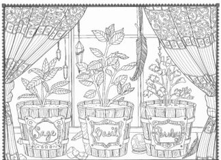 zioła w doniczkach obrazek do drukowania