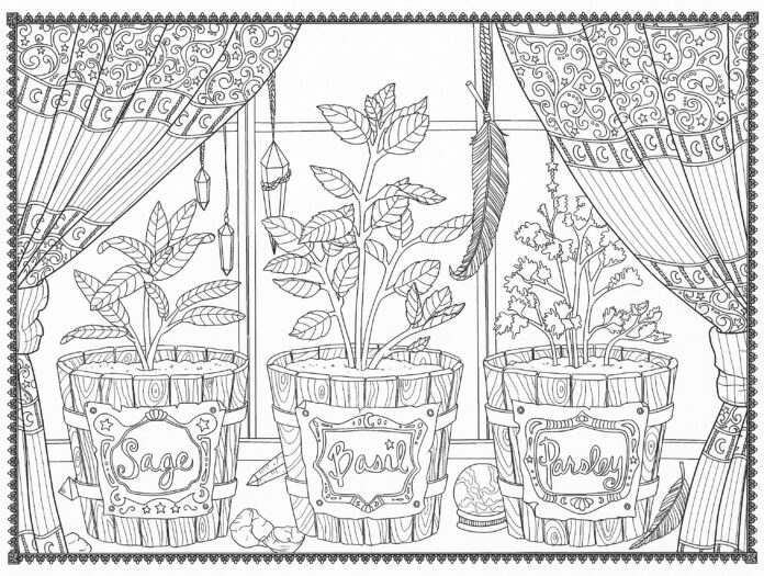 zioła w doniczkach obrazek do drukowania