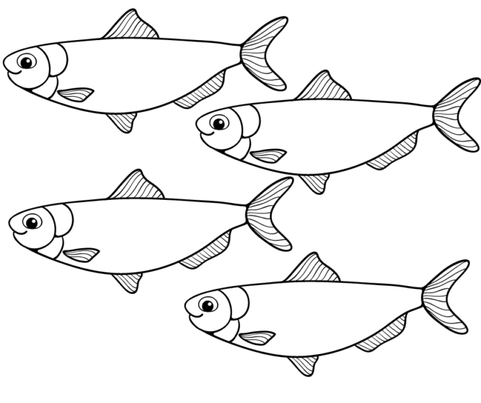 ławica śledzi kolorowanka do drukowania