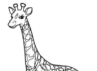 żyrafa kolorowanka obrazek do drukowania