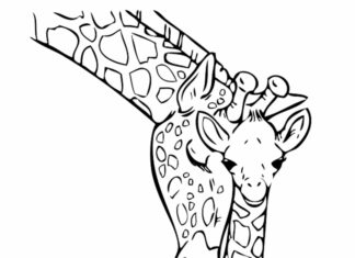 Żyrafa kolorowanka obrazek do drukowania
