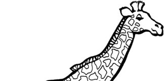 Duża żyrafa żyrafa kolorowanka obrazek do drukowania