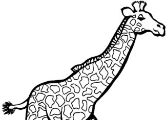 żyrafa kolorowanka obrazek do drukowania