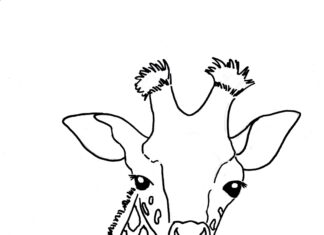 Głowa żyrafy żyrafa kolorowanka obrazek do drukowania