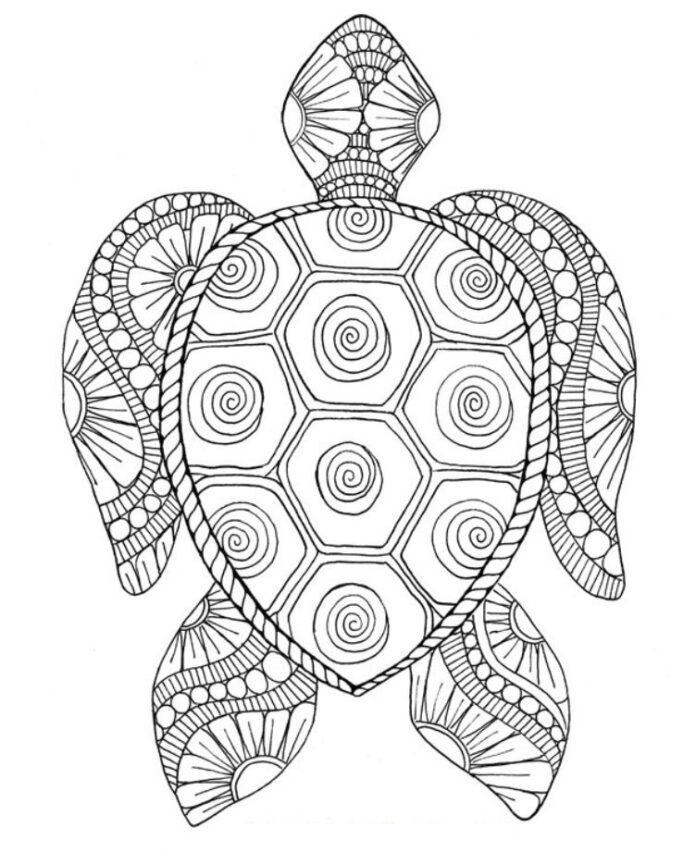 żółw błotny zentangle kolorowanka do drukowania