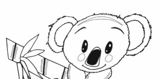 Mała koala Mała koala kolorowanka do drukowania