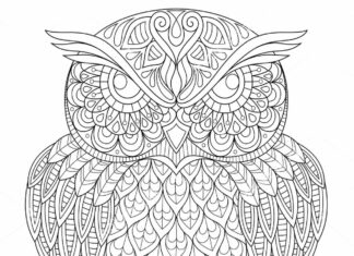 antystresowa sowa zentangle kolorowanka do drukowania