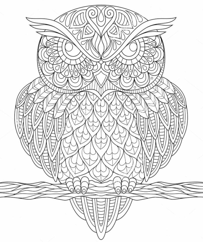 antystresowa sowa zentangle kolorowanka do drukowania