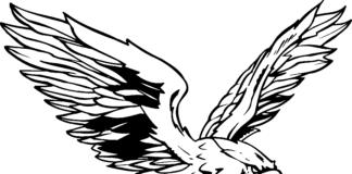 Atakujący jastrząb atakujący jastrząb kolorowanka do drukowania