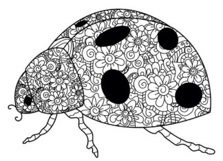 biedronka dla dorosłych zentangle kolorowanka do drukowania