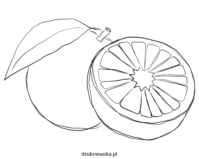 dojrzały pomarańcz kolorowanka do drukowania