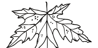 Duży jesienny liść duży jesienny liść kolorowanka do drukowania