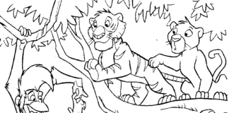 Księga dżungli zwierzęta księga dżungli zwierzęta kolorowanka do drukowania