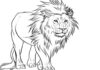 lew z długą grzywą kolorowanka do drukowania