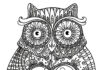 Mega duża sowa mega duża sowa kolorowanka do drukowania