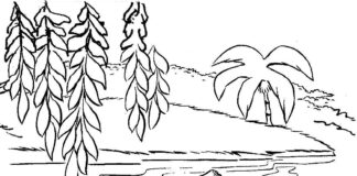 Mowgli zabawy z Balo mowgli zabawy z balo kolorowanka do drukowania