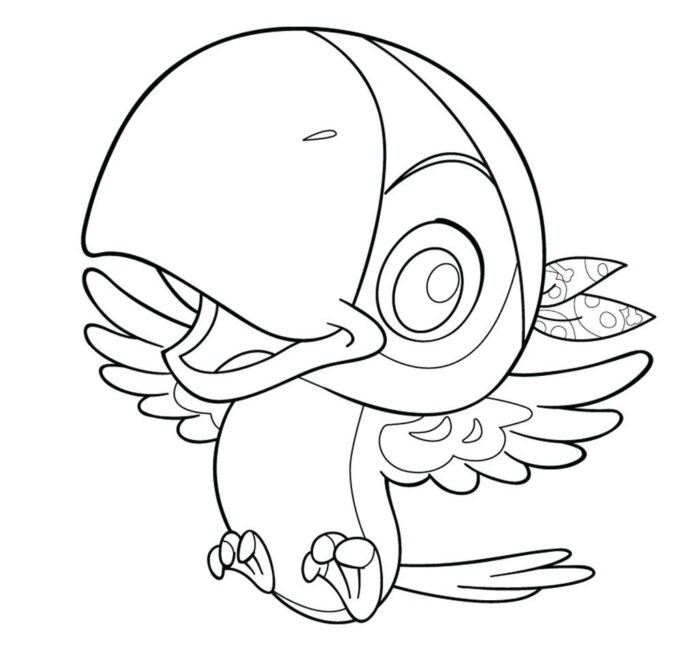 ptak skully jake i piraci kolorowanka do drukowania