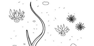 Płaszczka na dnie oceanu płaszczka na dnie oceanu kolorowanka do drukowania