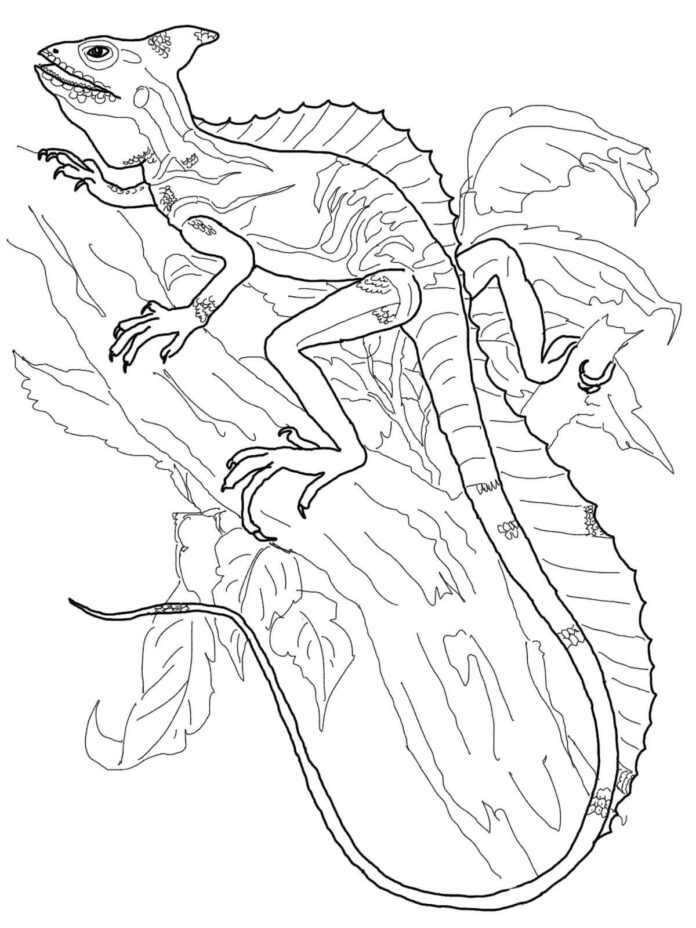 smok bazyliszek kolorowanka do drukowania