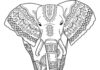 Słoń Zentangle dla dorosłych słoń zentangle dla dorosłych kolorowanka do drukowania
