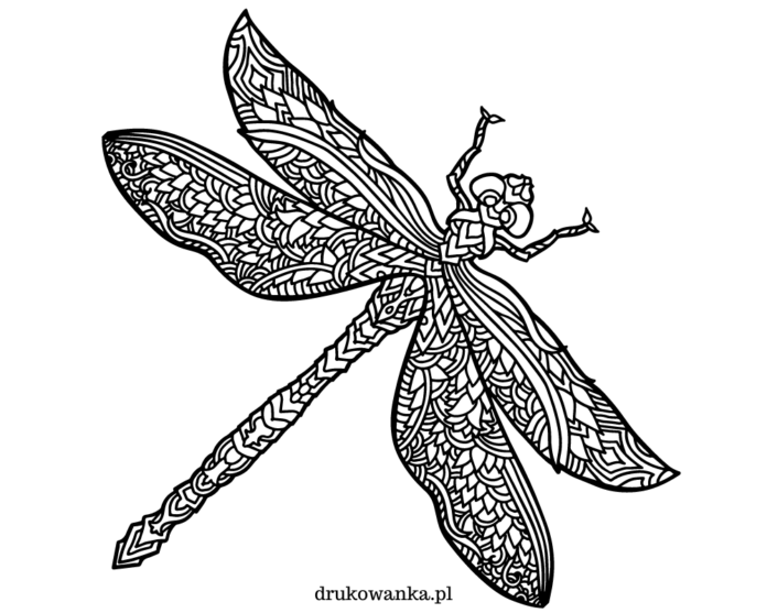 ważka zentangle kolorowanka do drukowania