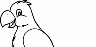 Wesoła papuga dla dzieci wesoła papuga dla dzieci kolorowanka do drukowania