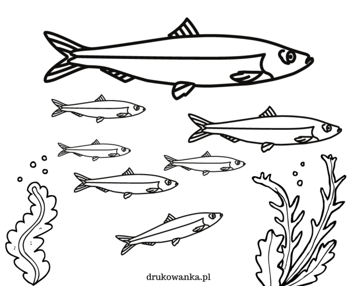 śledzie na dnie morza kolorowanka do drukowania