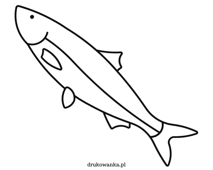 śledź ryba morska kolorowanka do drukowania