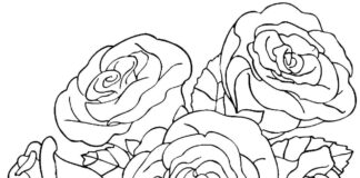 Przepiękny bukiet z roślinami kwitnącymi Malowanka - bukiet z kwiatków do druku kolorowanka