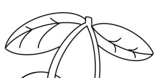 Czerwone owoce czerwone owoce kolorowanka do druku