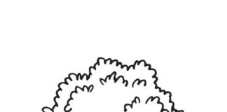 gruszka na drzewie do druku kolorowanka