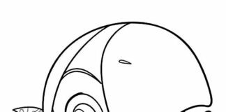 Skully papuga Dla dzieci - kolorowanka Skully papuga z bajki disneya jake i piraci z nibylandii do druku i online