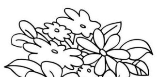 Bukiet kwiatów świeżo uzbieranych kolorowanka bukiet kwiatów do druku