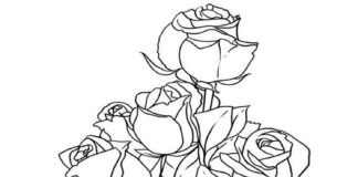 Bukiet z kwiatów róż kolorowanka bukiet z kwiatków róż do druku online