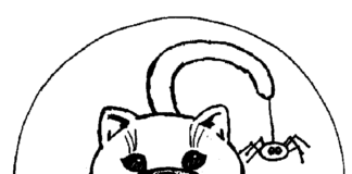 kolorowanka dynia i kot halołin do druku dla dzieci