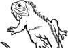 Iguana dla dzieci Malowanka i kolorowanka iguana do druku dla dzieci online