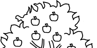 Jabłonka z owocami kolorowanka jabłoń z jabłkami na gałęziach do druku i online