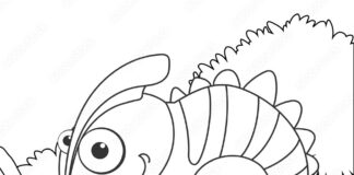 Kameleon na drzewie kolorowanka kameleon do druku na drzewie jaszczurka dla dzieci