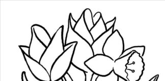 Kwiatki wiosenne kolorowanka kwiatki wiosenne do druku dla dzieci online