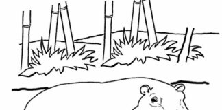 kolorowanka pływanie w wodzie przez hipopotamy do druku dla dzieci