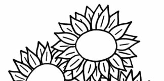 Słoneczniki z biedronką kolorowanka słoneczniki z biedronką do druku dla dzieci