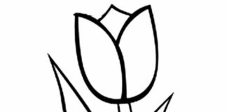 Tulipan dla dzieci kolorowanka tulipan do druku dla dzieci