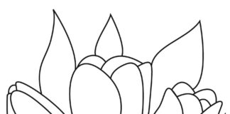 Tulipany w wazonie kolorowanki tulipany w wazonie do druku dla dzieci